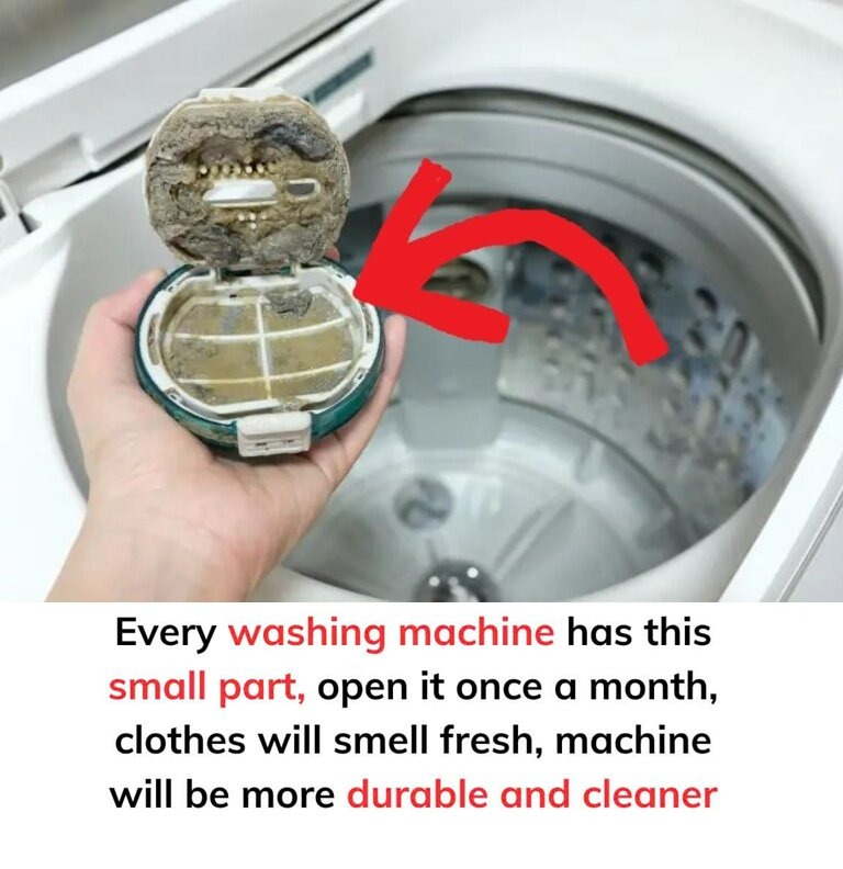 You are currently viewing If You Don’t Know, Read Here: How to Keep Your Washing Machine Clean & Lasting Longer