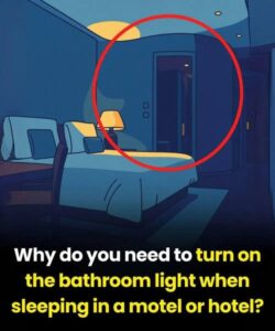 Read more about the article Why Some People Sleep Better With a Night Light in Hotels