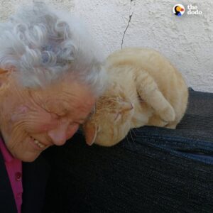 Read more about the article Woman Has Touching Reunion With Cat Missing for Nearly Four Years