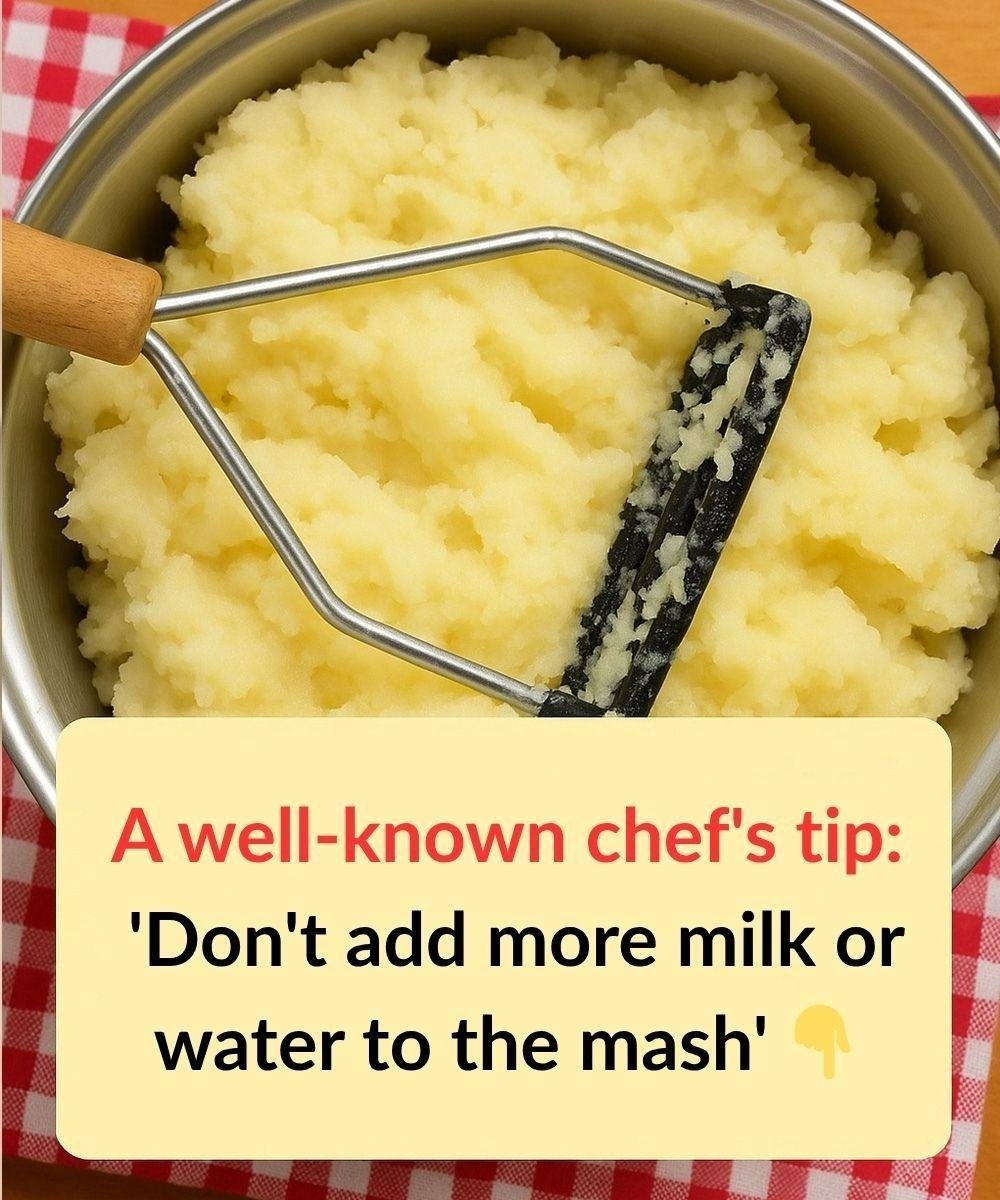 You are currently viewing Chef’s Secret for Ultra-Creamy Mashed Potatoes — It’s Already in Your Fridge