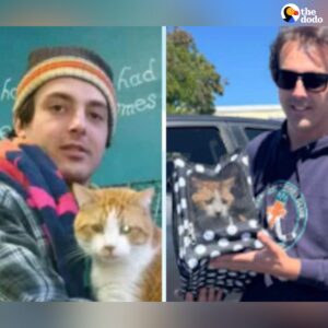 Read more about the article Cat Missing For 7 Years Reunites With His Dad — And Can’t Stop Purring