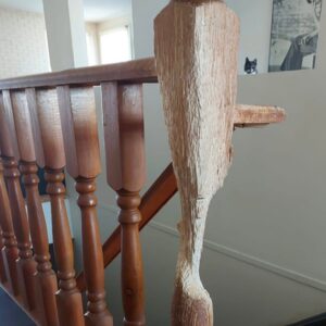 Read more about the article Cat Spends 11 Years Turning a Wooden Banister Into His Life’s Masterpiece