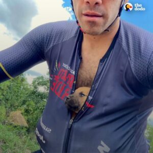 Read more about the article Cyclist Finds Abandoned Puppies on Roadside