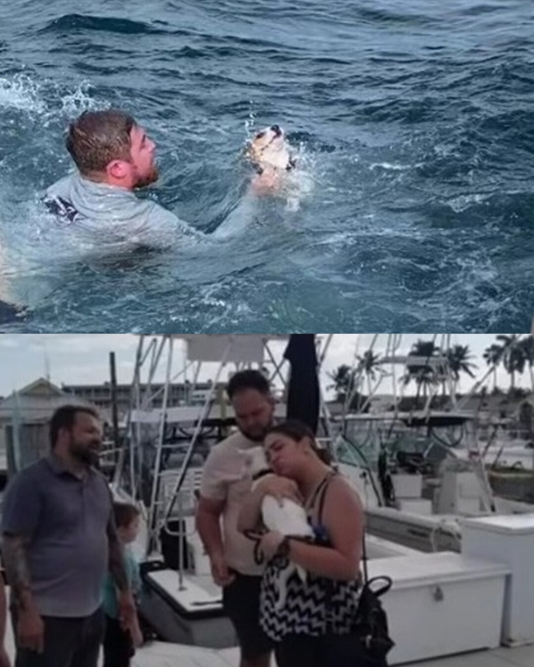 You are currently viewing Lost at Sea Kindness: Kayakers Save Dog Found Paddling Miles Offshore