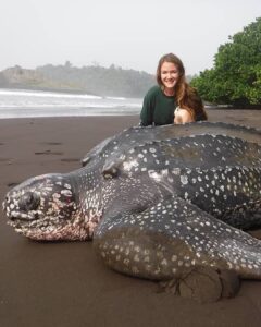 Read more about the article Incredible Leatherback Turtle Rescue: A Race Against Time Saves an Ancient Life