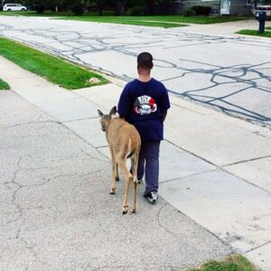 Read more about the article Boy Guides Blind Deer to Food Each Morning