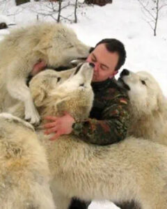 Read more about the article A Photographer’s Wolf Passion: Capturing the Soul of the Wild