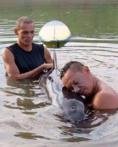 Read more about the article Incredible Baby Whale Rescue: Surfers’ 6-Hour Mission Saves a Life