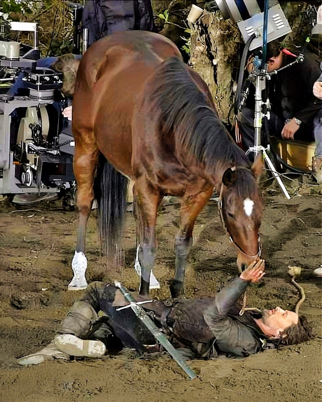 You are currently viewing Viggo Mortensen’s Kindness: The Secret Story of the Horse He Refused to Leave Behind