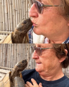 Read more about the article This Woman’s Unlikely Soulmate is a 70-Year-Old Tortoise Named Charlie