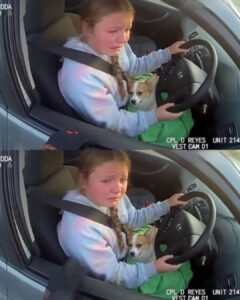 Read more about the article The 12-Year-Old Who Broke the Rules to Save a Life: A Story That Touched Millions