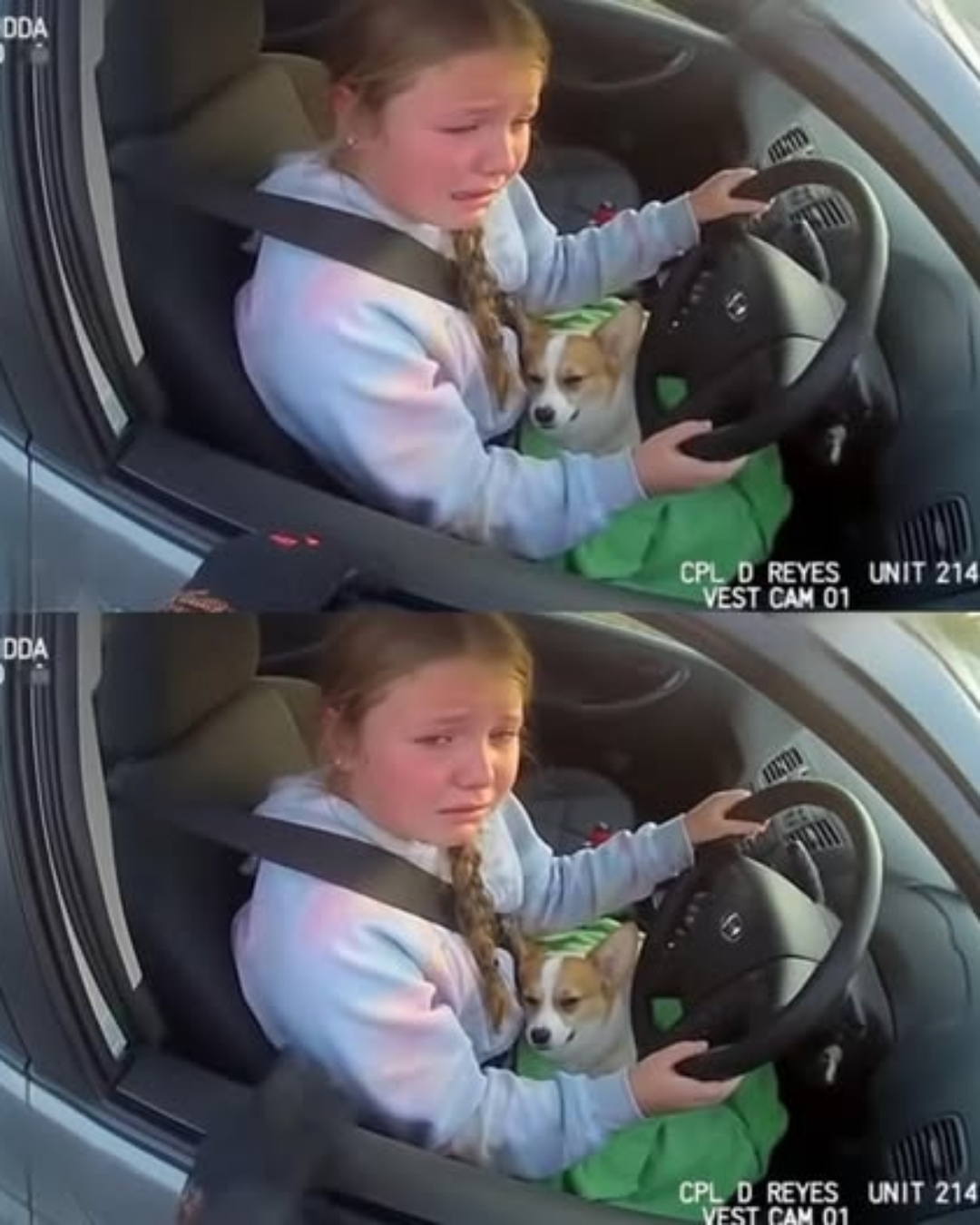 You are currently viewing The 12-Year-Old Who Broke the Rules to Save a Life: A Story That Touched Millions