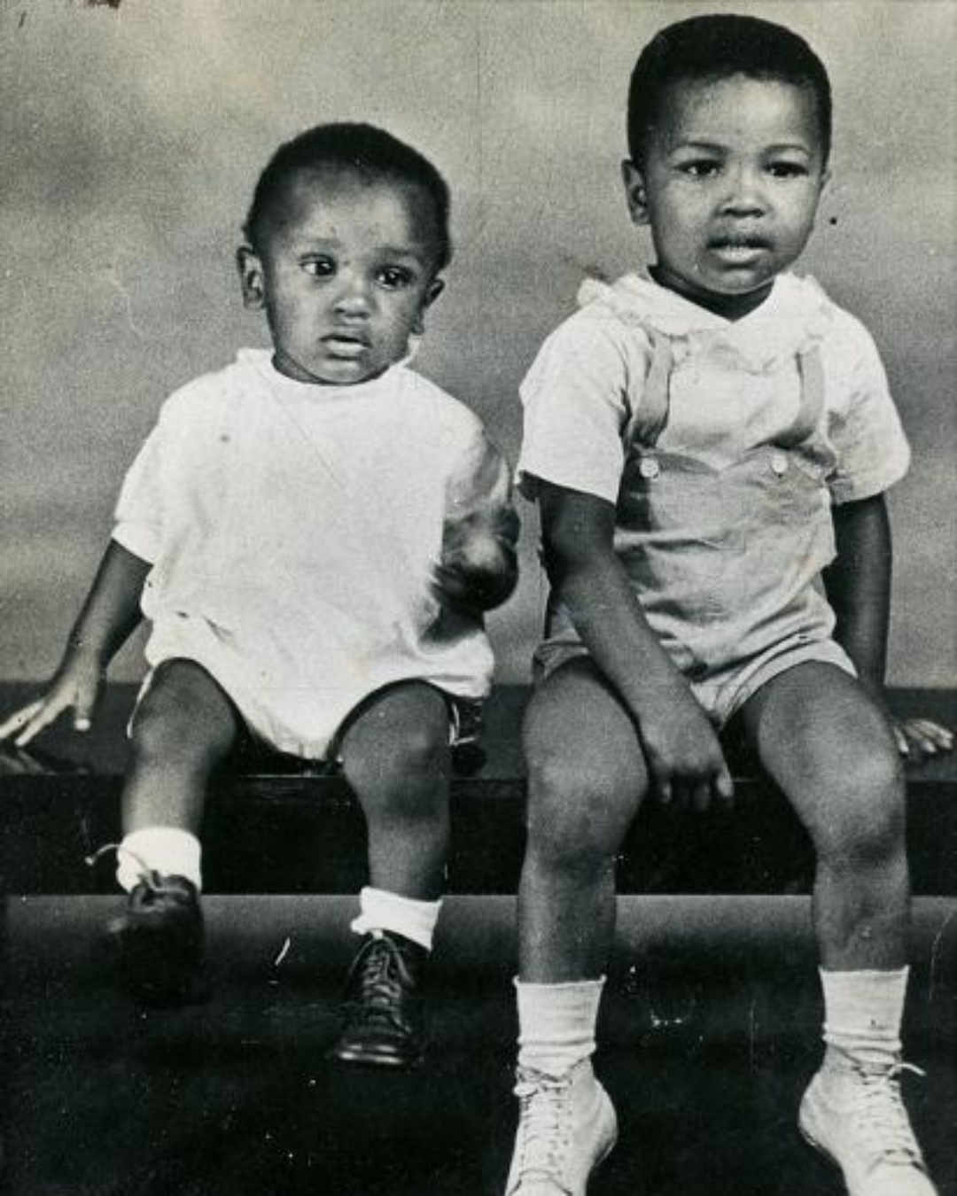 You are currently viewing The Unbelievable Courage of Ronald McNair: The Boy Who Defied a Segregated Library