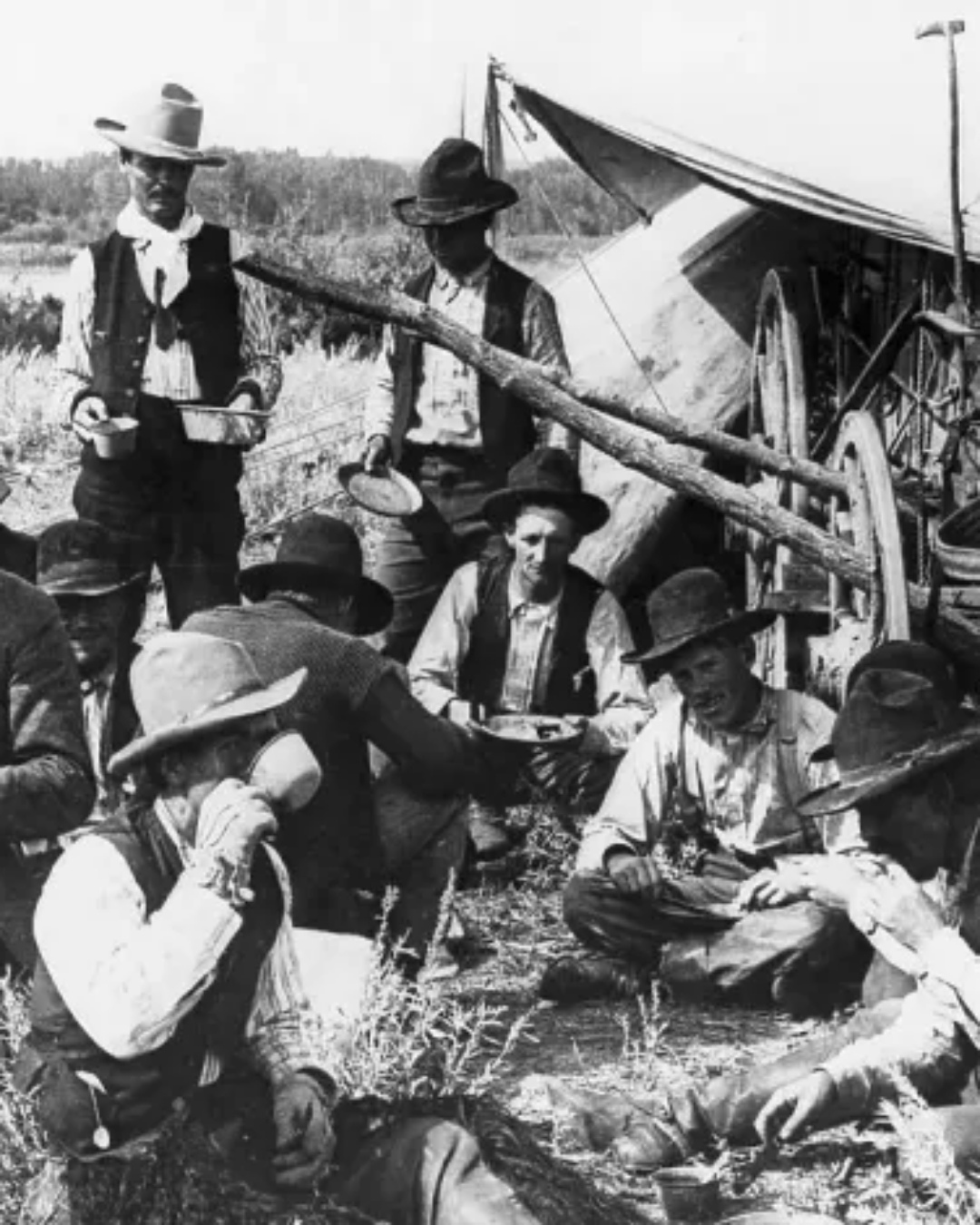 Read more about the article Cowboy Life Stories: Nelson Story and the Drive That Built Montana