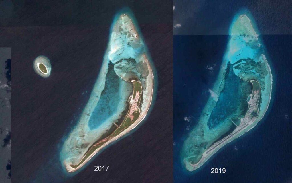 You are currently viewing Wildlife Tragedy: Endangered Turtle Returns to Maldives to Lay Eggs — Finds an Airport Runway Instead