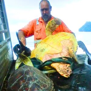 Read more about the article Simple Sea Turtle Rescue: Man Buys Freedom for Endangered Lives