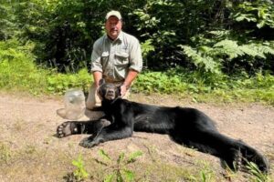 Read more about the article Against the Odds: The Wisconsin Bear Who Survived a Week With Her Head Stuck in a Jar