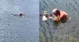 Read more about the article Florida Man Braves Alligator-Infested Lake to Save Injured Bald Eagle