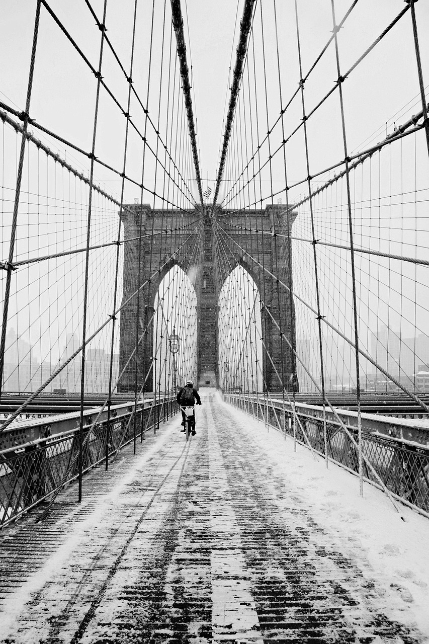 You are currently viewing Winter in New York: A Season of Snow, Sparkle, and Surprises