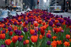 Read more about the article The Real Seaside Heights: Boardwalks, Bad Decisions, and Summer Redemption