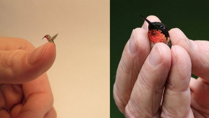 Read more about the article The Bee Hummingbird: The World’s Smallest Bird and Nature’s Flying Gem