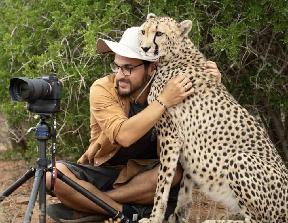 You are currently viewing An Incredible Cheetah Hug: The Moment a Wild Predator Showed Pure Affection