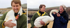 Read more about the article Injured Swan Hugs Her Rescuer, Showing Rare Affection in the Wild