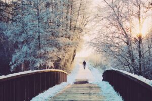 Read more about the article Winter in Boston: Where History Meets Cozy Charm