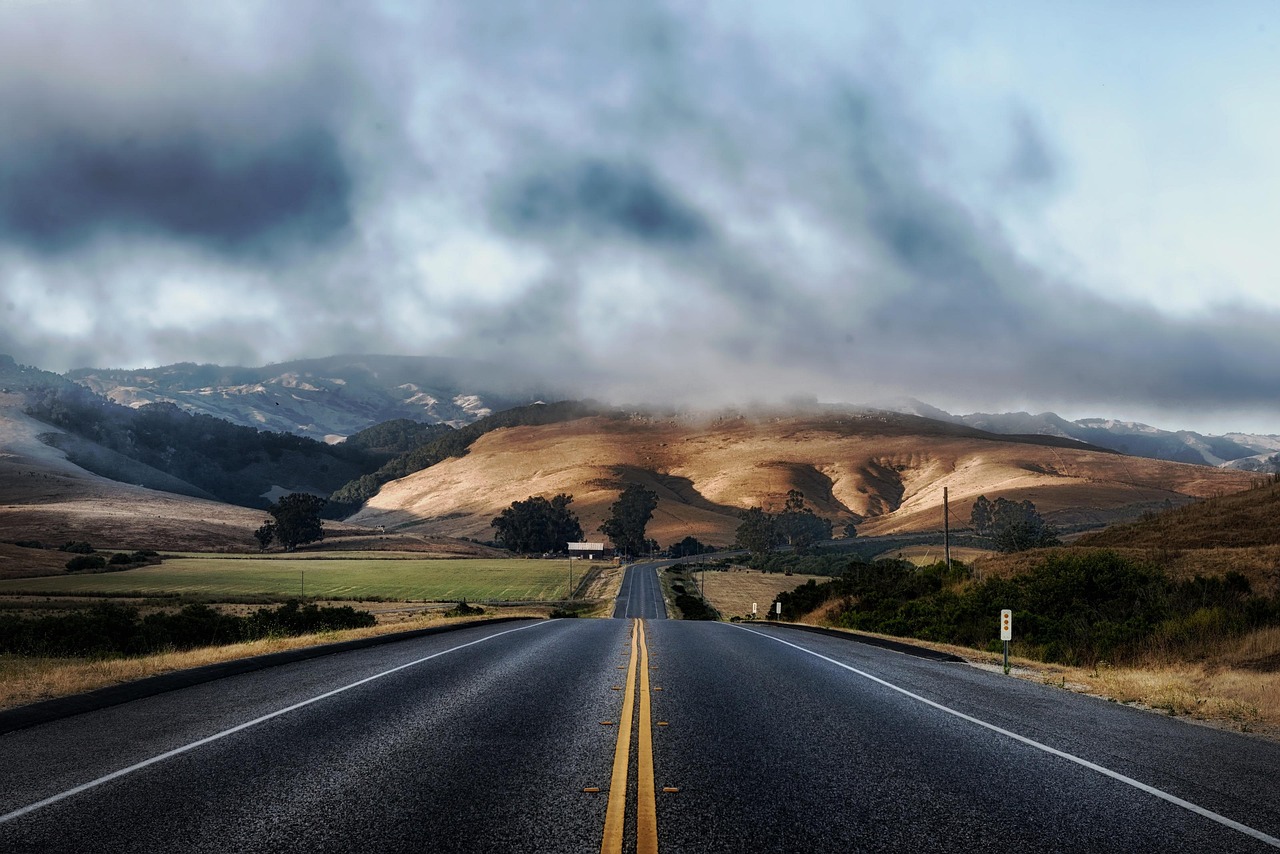 Read more about the article Giants’ Scenic Highway: A Journey Through Northern California’s Living Cathedrals