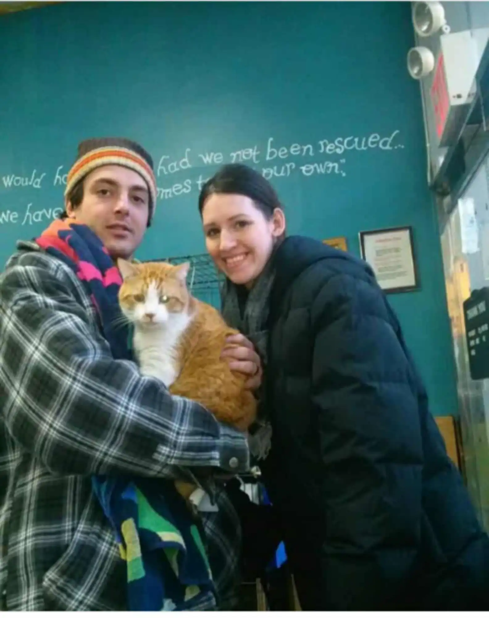 Heavenly Angels Animal Rescue