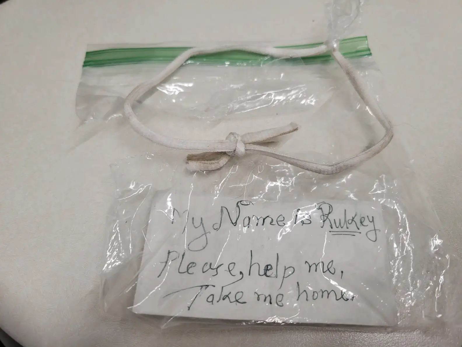 Shoppers Find A Dog Loose In Meijer Parking Lot — With A Heartbreaking Note Attached