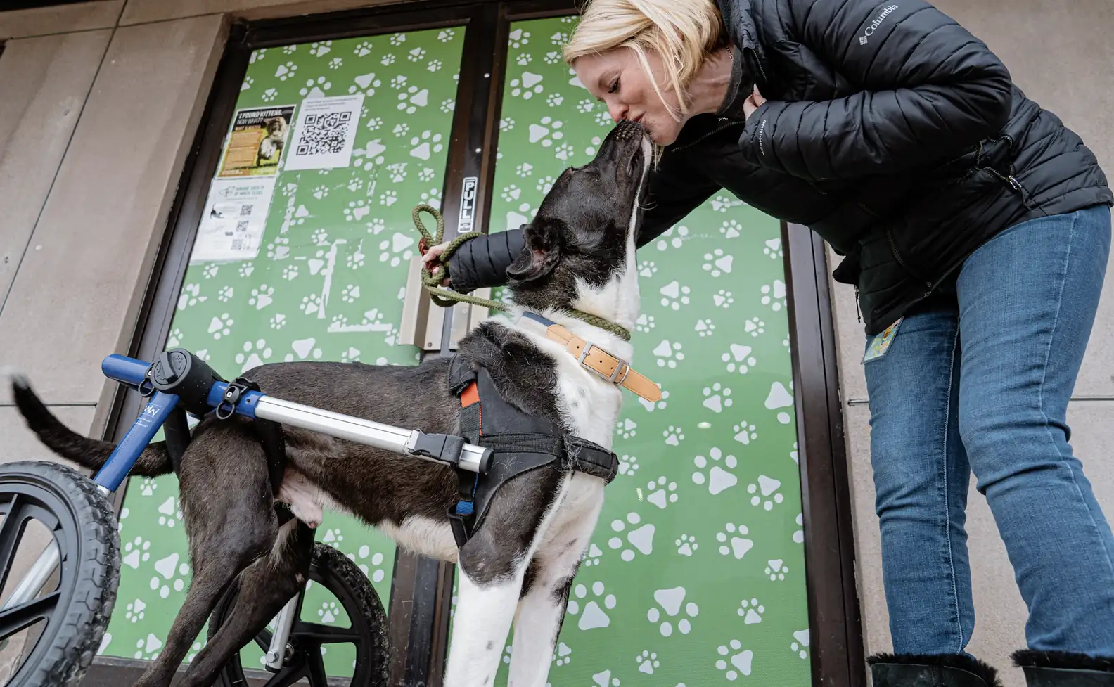 Humane Society of North Texas
