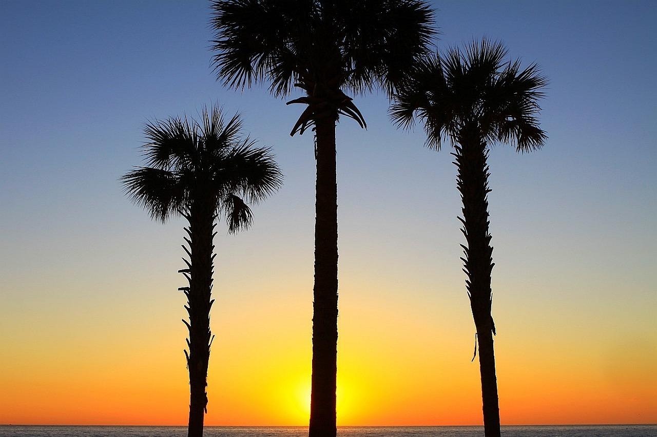 You are currently viewing Hollywood Beach, Florida: Where the Shore Never Sits Still