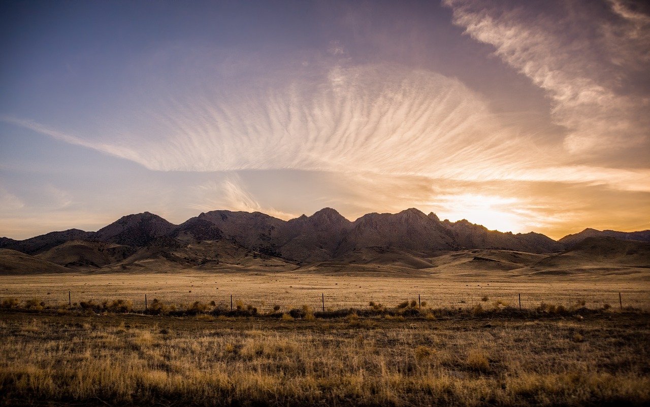 You are currently viewing The Wild Heart of the Desert: My 48 Hours in Nevada, USA