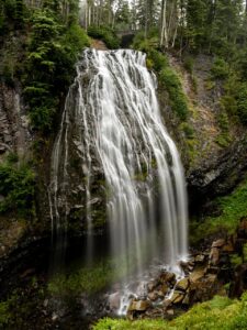 Read more about the article Everything to know about Mount Rainier National Park