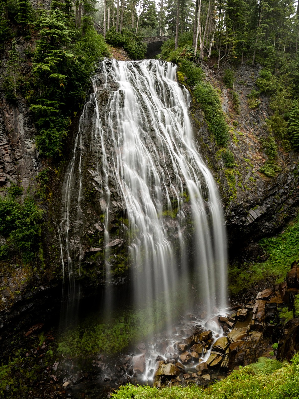 Read more about the article Everything to know about Mount Rainier National Park