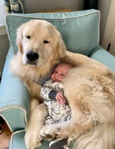 Read more about the article The Unbreakable Dog and Baby Bond: They Told Me to Get Rid of My Dog, But Love Had Other Plans