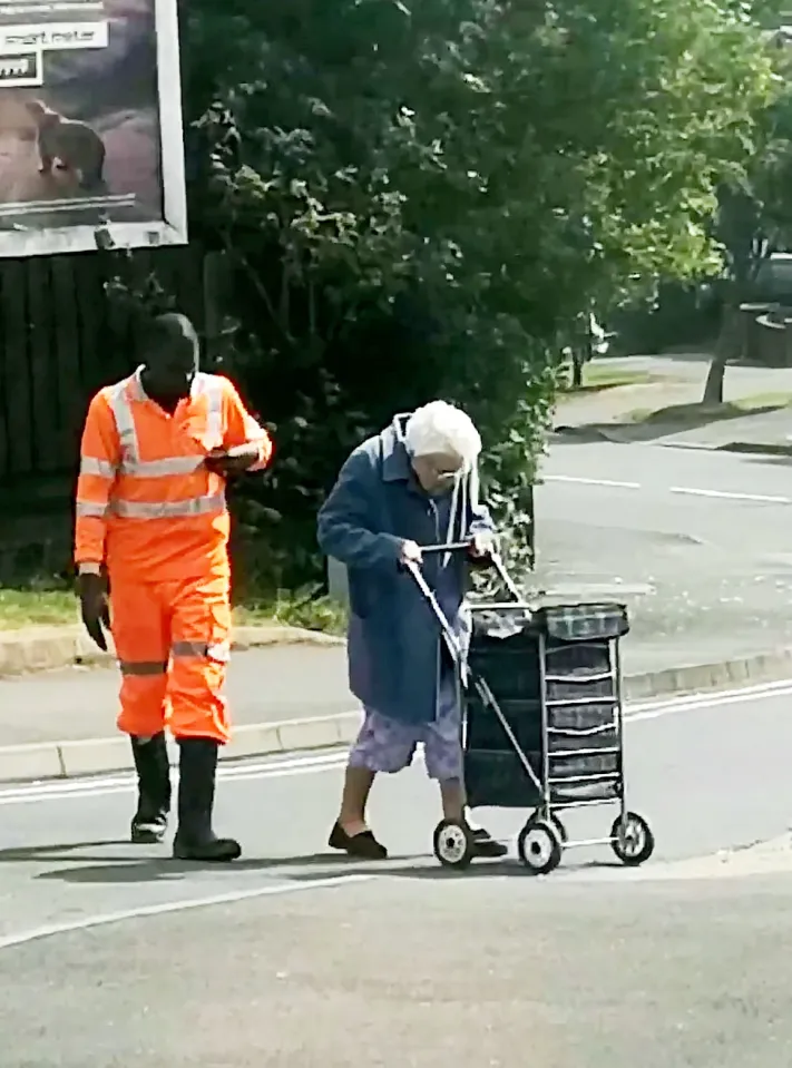 Read more about the article A Truck Driver’s Kindness: The Day a Man Stopped His Cement Truck to Help an Elderly Woman