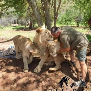 Read more about the article Armand Gerber Lives Among Lions: The Man Who Cuddles Predators as Family