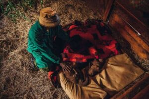 Read more about the article The Elephant Keepers: The Men Who Sleep Beside Orphans to Heal Their Hearts