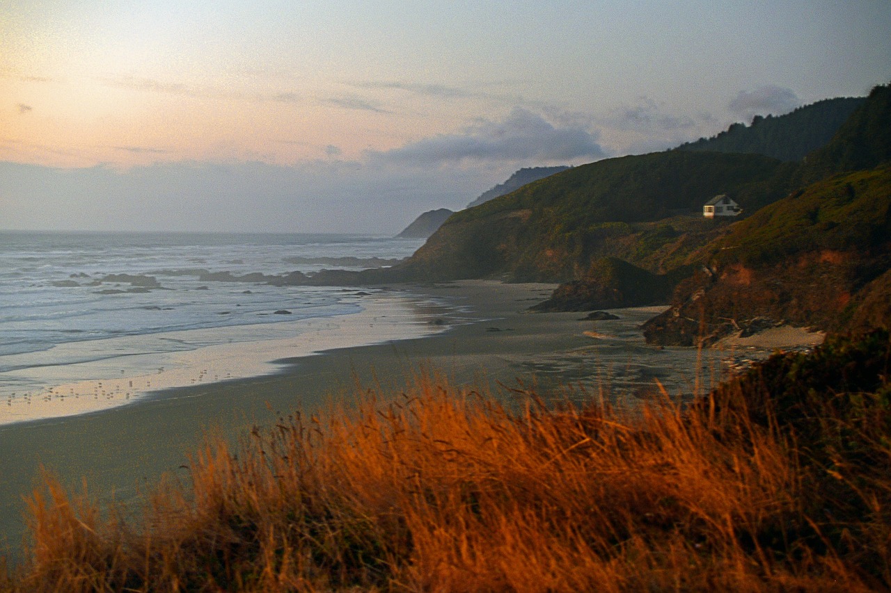 Read more about the article A Scenic Journey Along the Beautiful Oregon Coast: Cliffs, Beaches & Hidden Gems